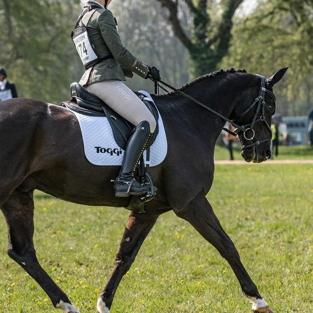 Toggi’s Guide to Eventing