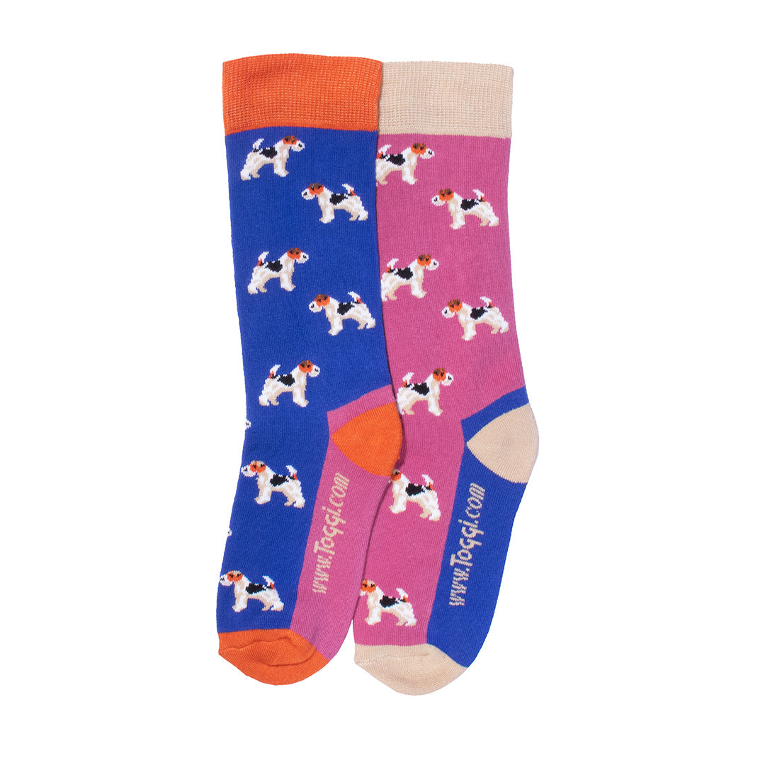 Pretty Terrier Children's Socks