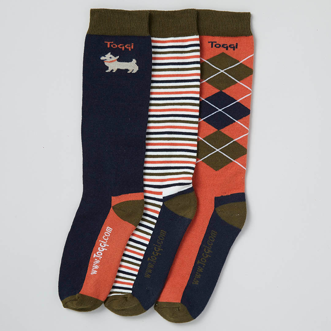 Fido 3 Pack Socks