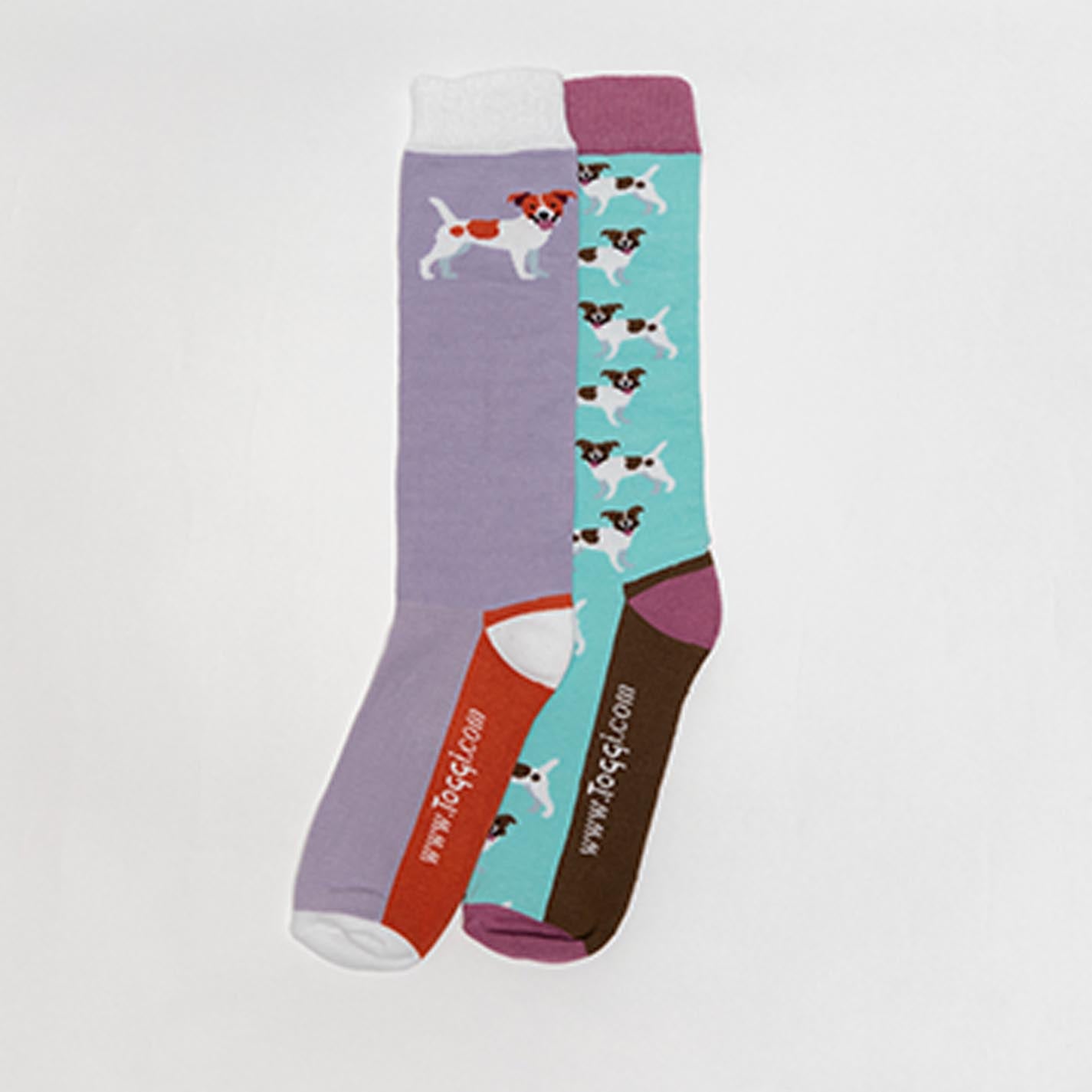 Cute Terrier Socks 2 Pack