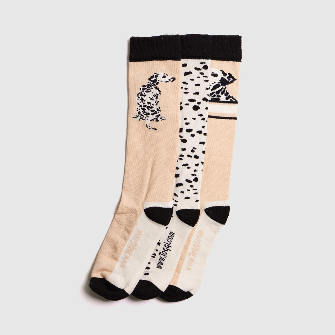 Dalmatian 3 Pack Socks