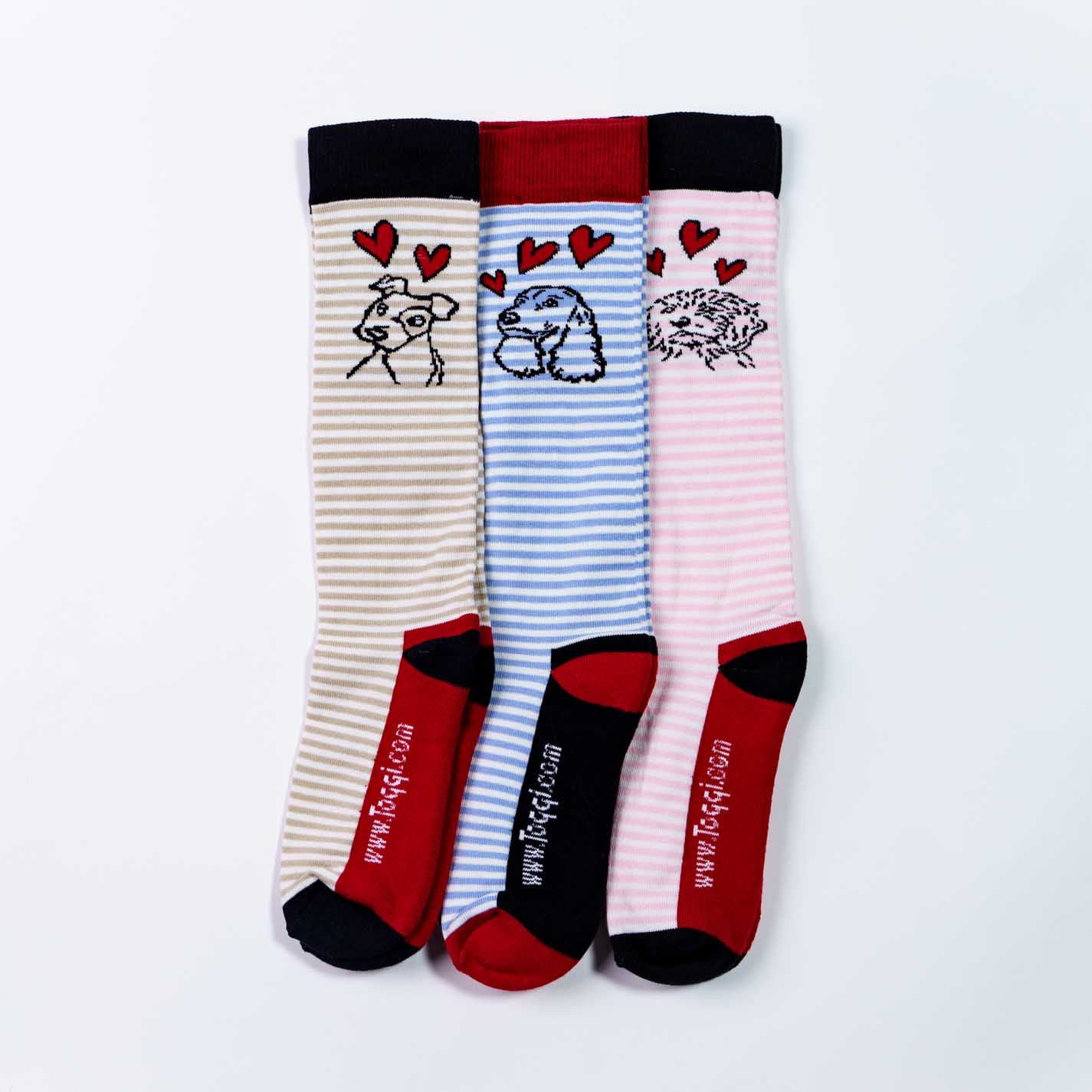 Hearts Dog 3 Pack Socks